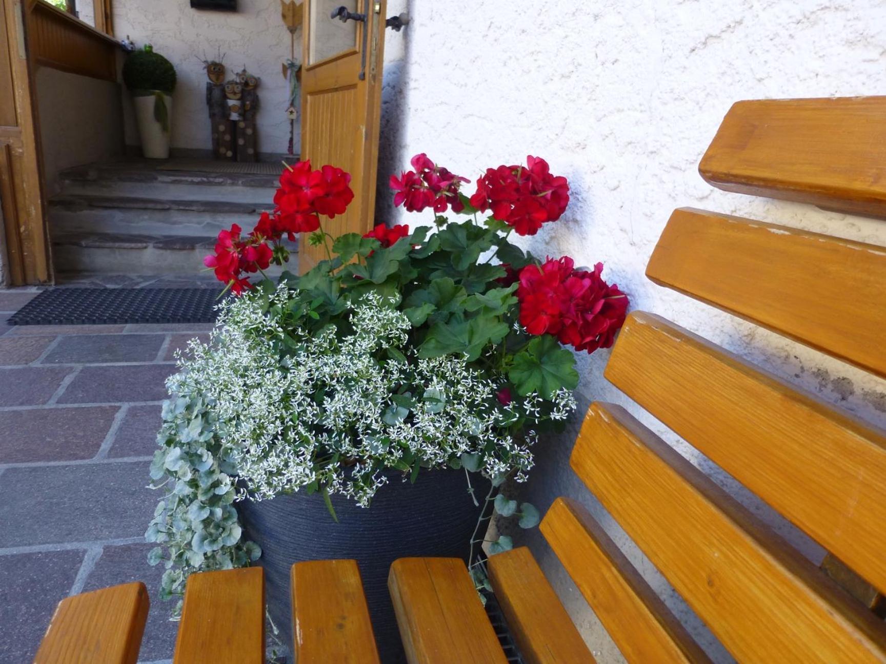 Bed and Breakfast Garni Helfer Dobbiaco Esterno foto