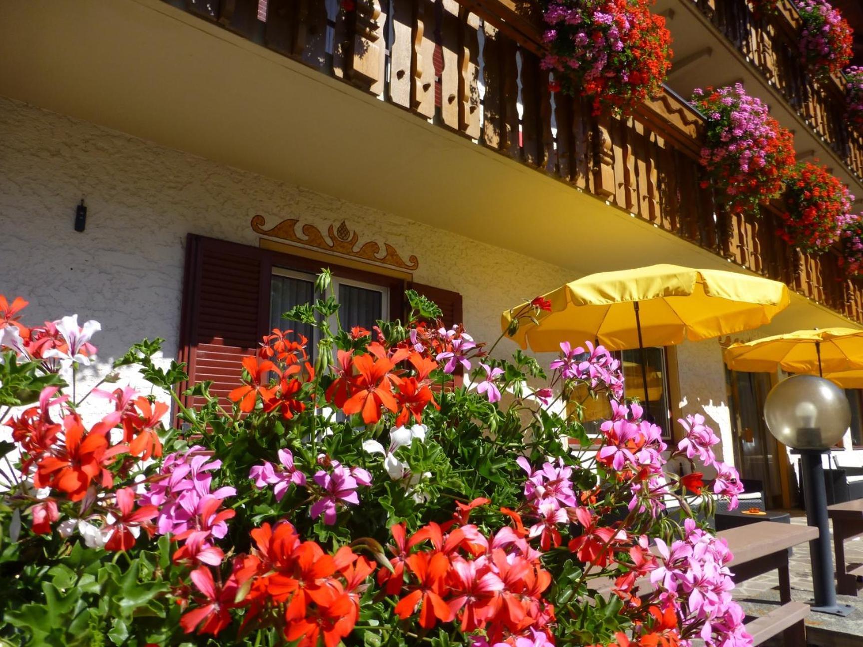 Bed and Breakfast Garni Helfer Dobbiaco Esterno foto